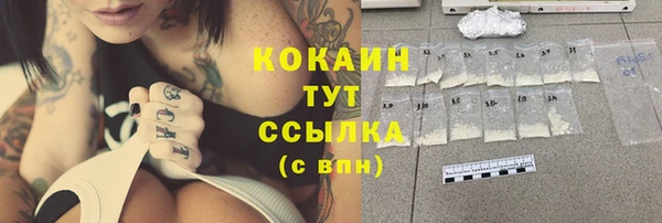 твердый Майский