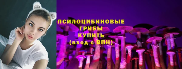 твердый Майский