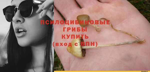 стафф Богданович