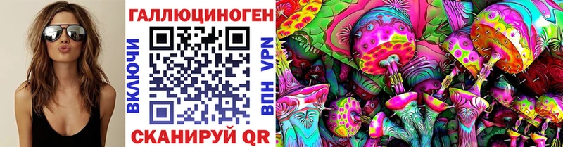 Галлюциногенные грибы Psilocybe  Невинномысск 