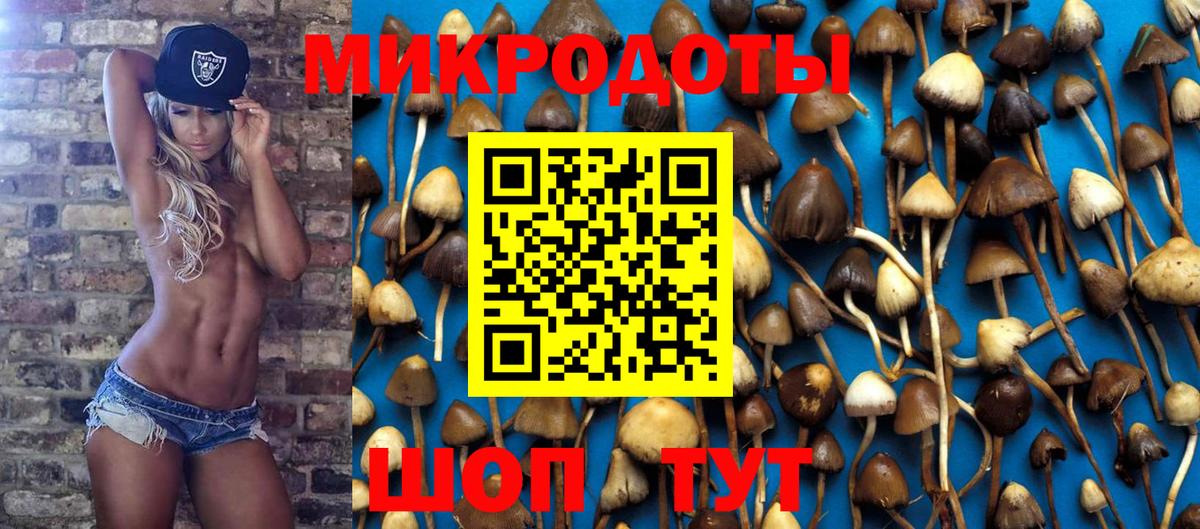 Бошки Шишки Невинномысск